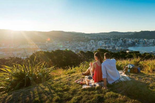 Picnic at Mount Victoria